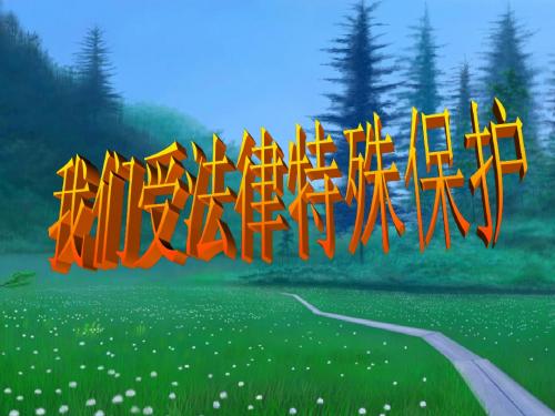 3.法律对未成年人的特殊保护
