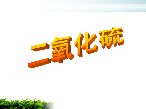 《二氧化硫》ppt课件25 人教课标版