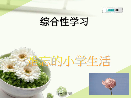综合性学习——作文上的红双圈ppt课件