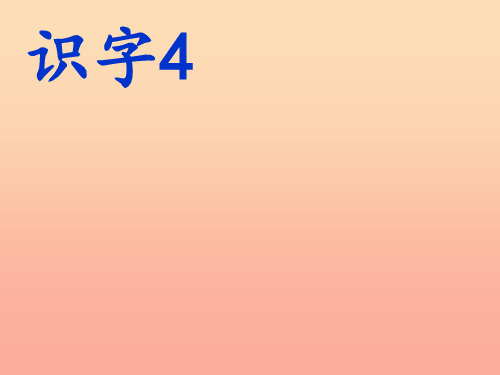 一年级语文上册 识字5 观察 采集 昆虫2 苏教版