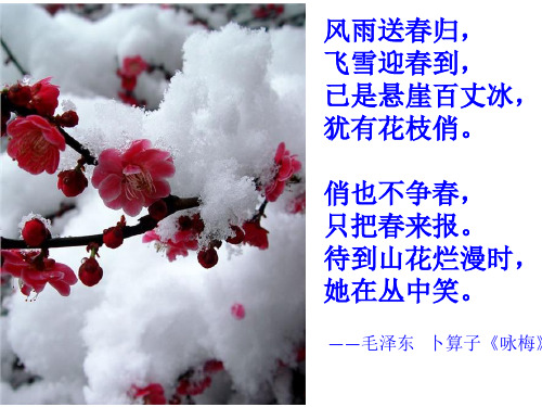 墨梅图题诗