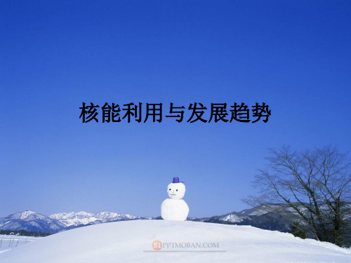 核能利用的发展历程与前景展望