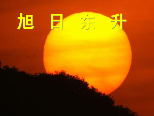 《能量与太阳》PPT课件教科版小学2
