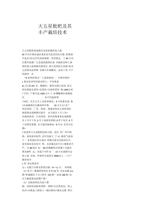 大五星枇杷及其丰产栽培技术