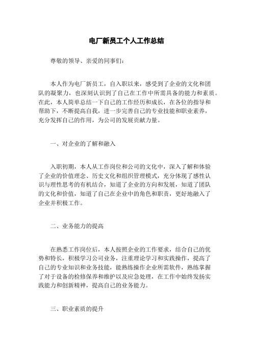 电厂新员工个人工作总结