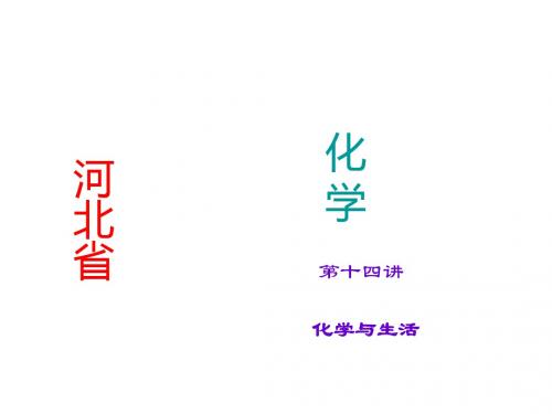 河北省中考化学总复习课件：第14讲 化学与生活