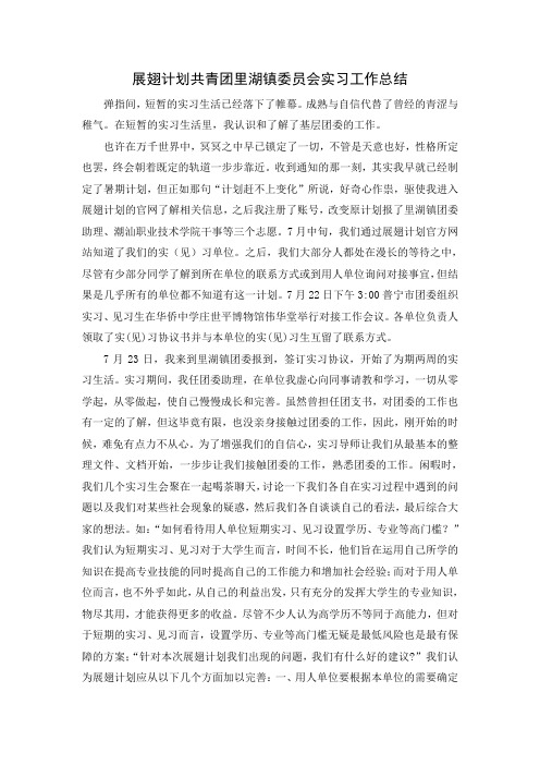 展翅计划共青团里湖镇委员会实习工作总结