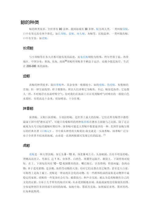 鲸的种类——精选推荐
