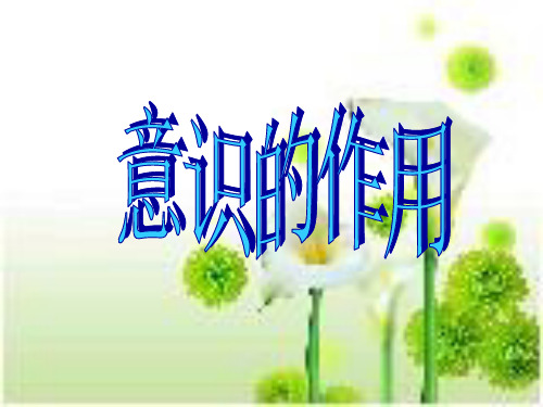高三政治第一轮复习《生活与哲学》意识的作用复习课件人教版
