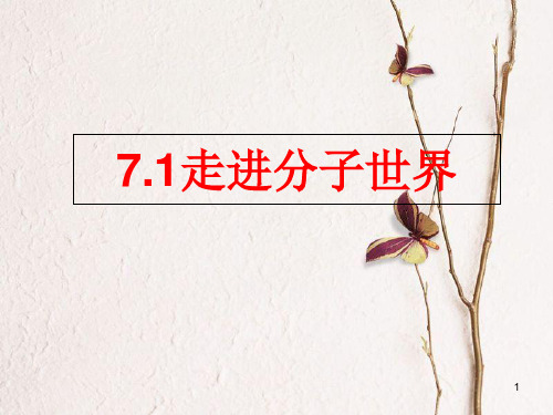 江苏省宜兴市八年级物理下册 7.1走进分子世界课件 (新版)苏科版.pptx