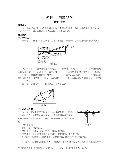 北师大版-物理-八年级下册-导学案杠杆   滑轮