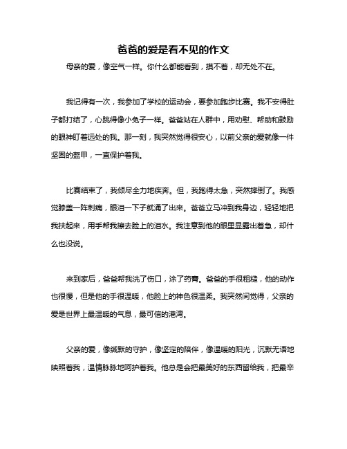 爸爸的爱是看不见的作文