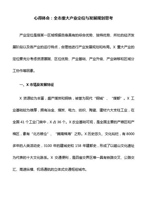 心得体会：全市重大产业定位与发展规划思考
