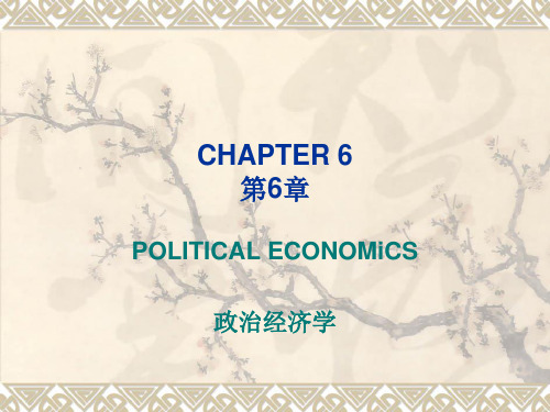 财政学课件 第六章