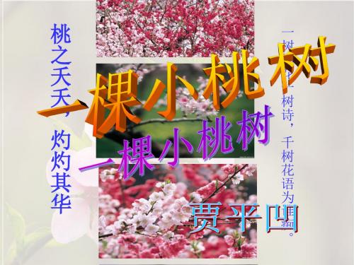 (部编)初中语文人教2011课标版七年级下册《一课小桃树》