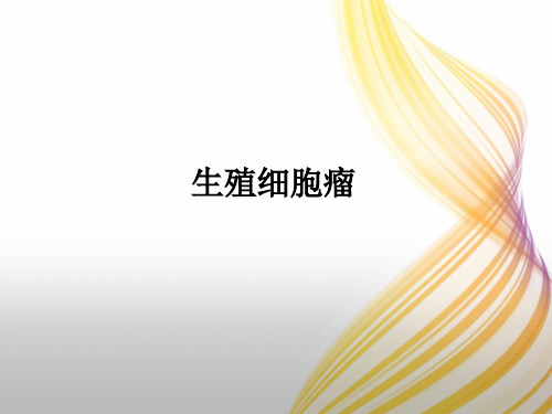 生殖细胞瘤ppt课件