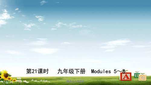 精选-中考英语总复习第21课时九下Modules5_8课件