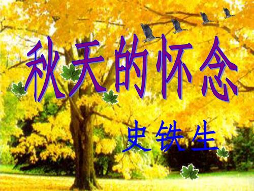 《秋天的怀念》史铁生
