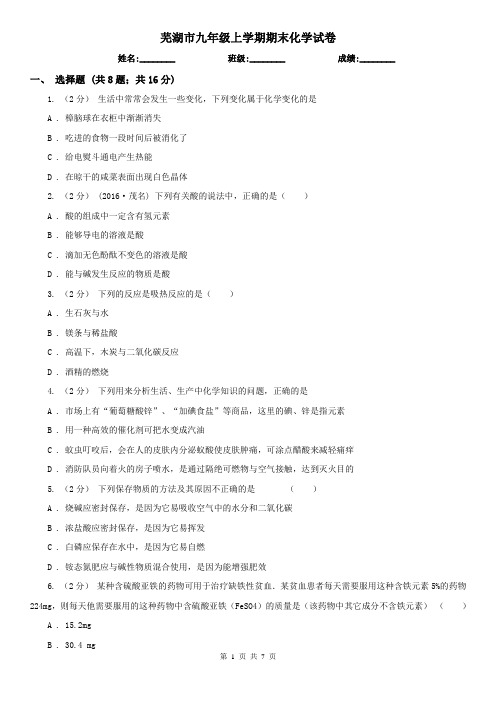 芜湖市九年级上学期期末化学试卷