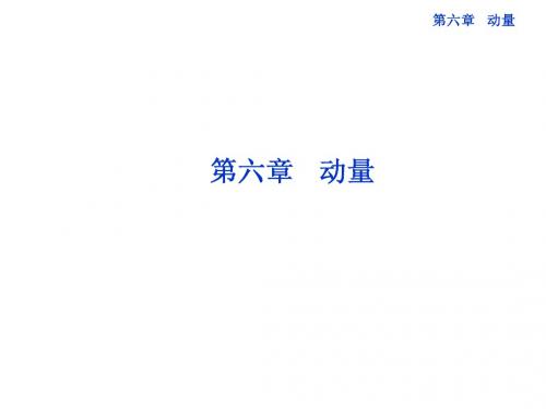 第六章第一节 冲量 动量 动量定理