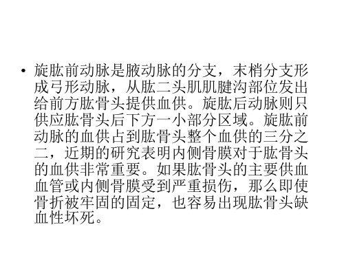 肱骨外科颈