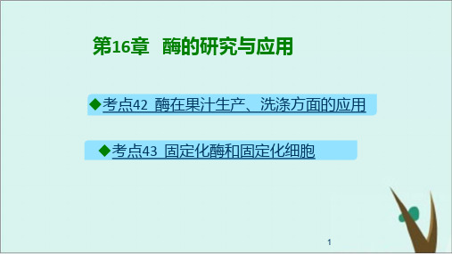 第16章 酶的研究与应用新高考生物复习ppt