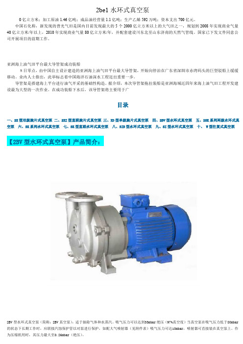 2be1水环式真空泵