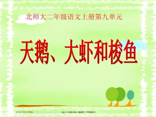 《天鹅、大虾和梭鱼》PPT课件