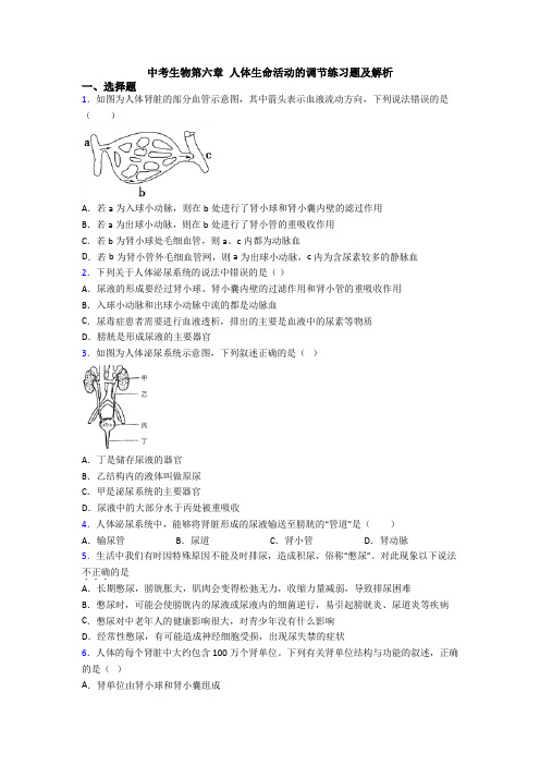 中考生物第六章 人体生命活动的调节练习题及解析