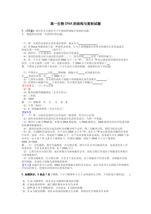 高一生物DNA的结构与复制试题
