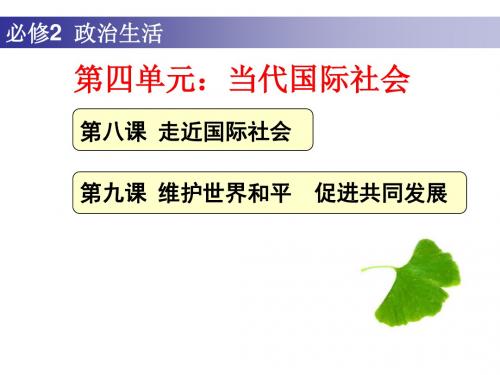 第八课-走进国际社会.ppt