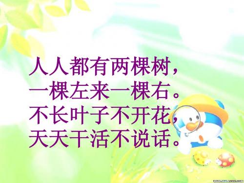 《胖乎乎的小手》课件