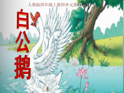最新人教版四年级语文上册《白公鹅》课件