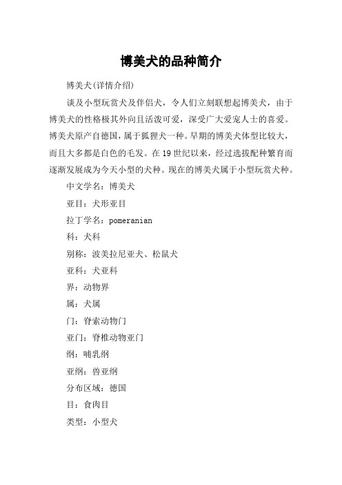 博美犬的品种简介