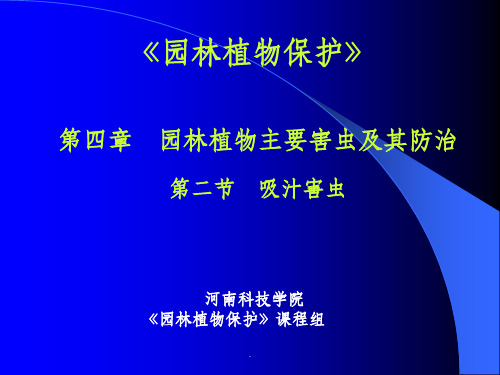 刺吸式害虫