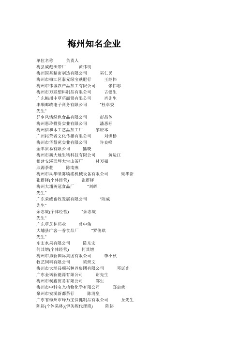 梅州知名企业