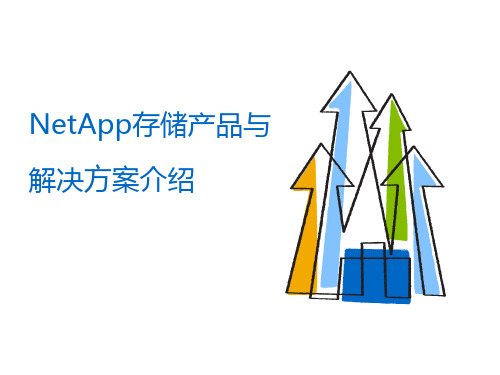 NetApp存储产品与解决方案介绍
