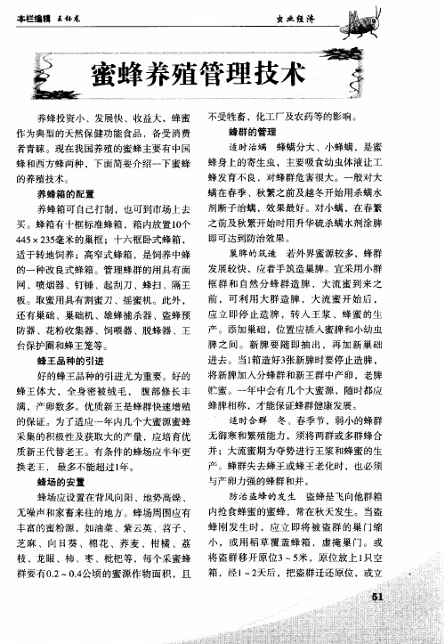 蜜蜂养殖管理技术