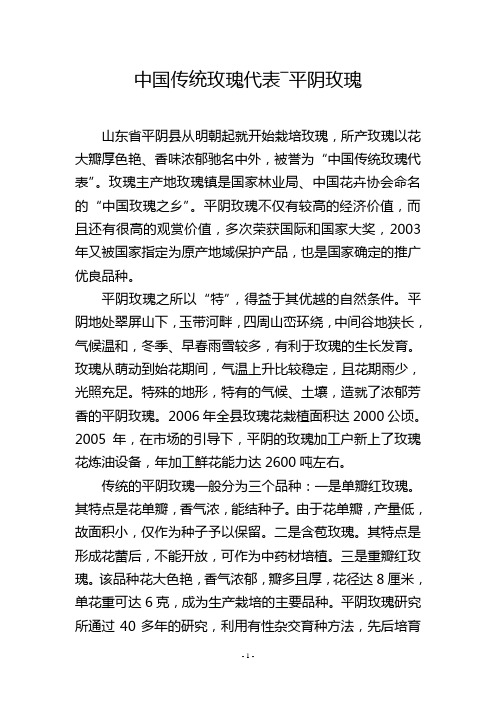 中国传统玫瑰代表―平阴玫瑰