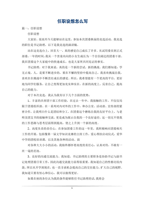 任职设想怎么写