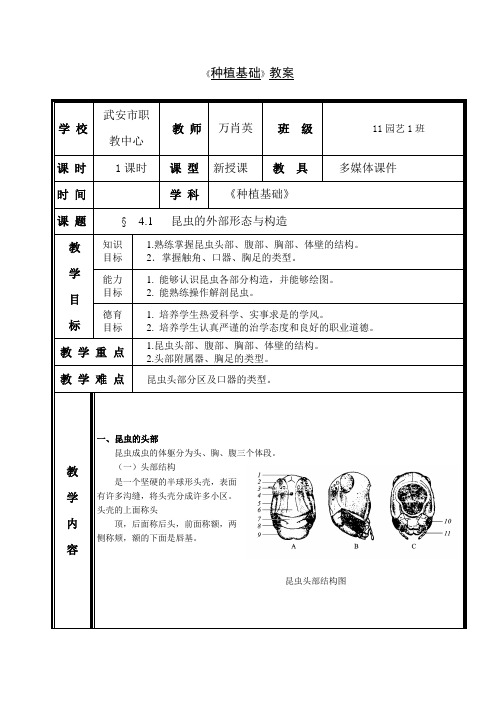 种植基础