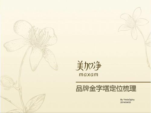 美加净品牌金字塔定位梳理方案