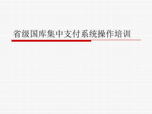 省级国库集中支付系统操作培训