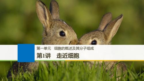 2019版高考生物(人教版 江苏通用)大一轮复习课件：第一单元 细胞的概述及其分子组成 第1讲