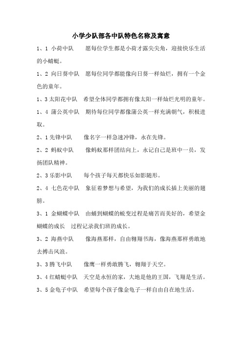 少队部各中队特色名称及寓意