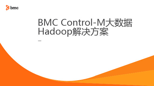 BMC Control-M大数据Hadoop解决方案-PGD