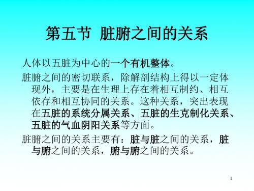 第五节+脏腑的关系-PPT精品文档