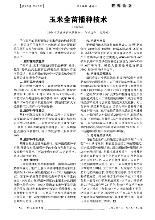 玉米全苗播种技术