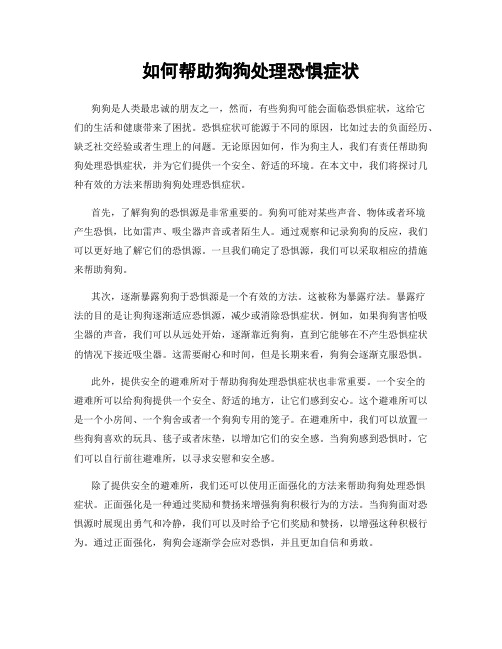 如何帮助狗狗处理恐惧症状
