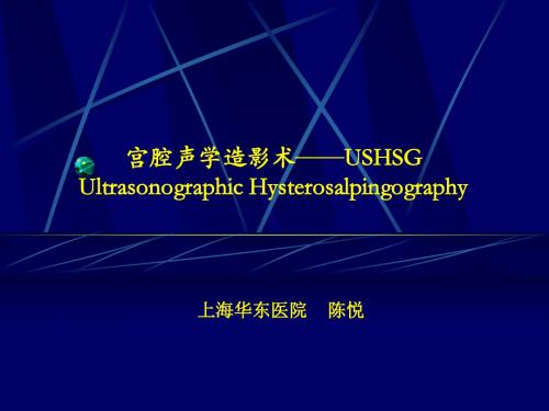 宫腔声学造影术 